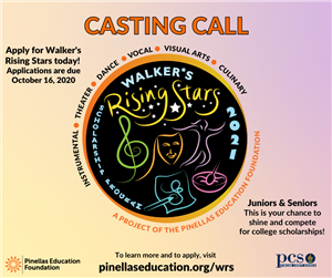 Walker's Rising Stars Casting Call information 